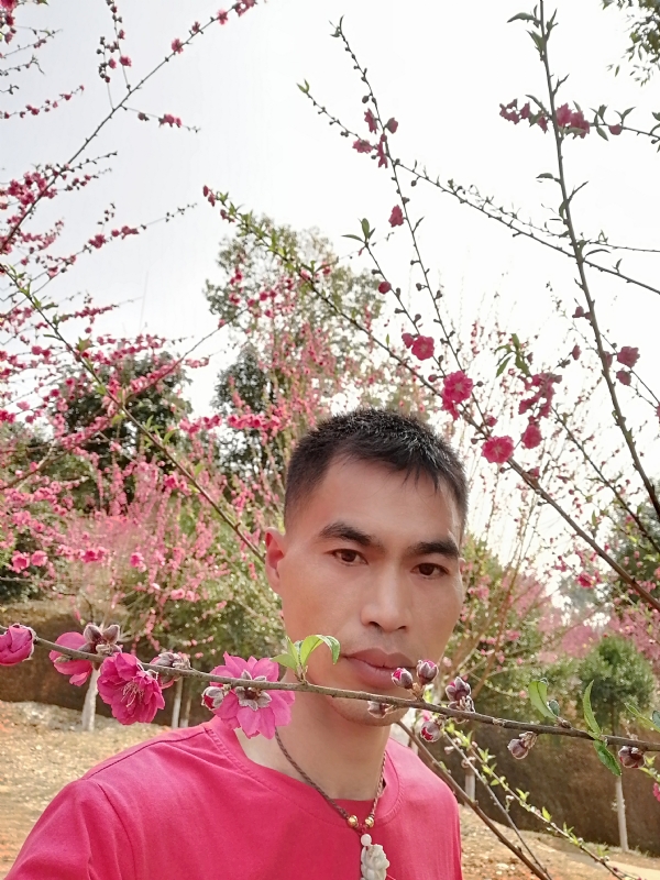 惜緣的第一张照片--宁德相亲服务中心