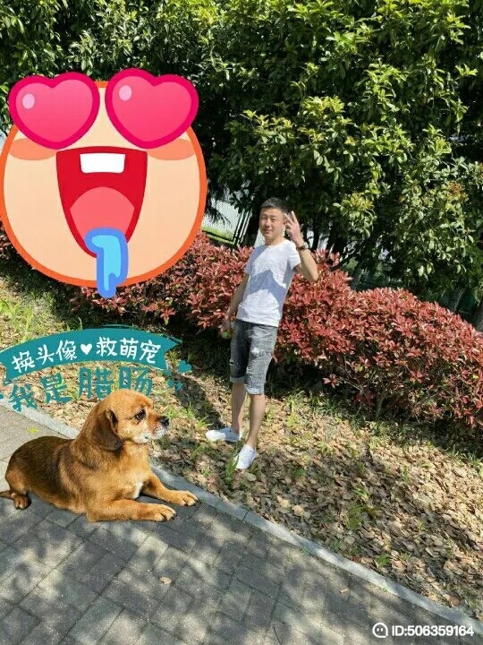 我若不坚强谁替我勇敢的第五张照片--宁德相亲服务中心