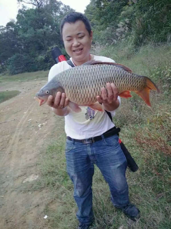 迷路的男人的第一张照片--宁德相亲服务中心