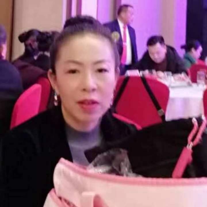 中秋桂花玉兔的第四张照片--宁德相亲服务中心