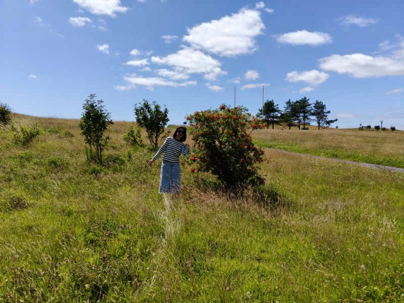 秋蝉的第一张照片--宁德相亲服务中心