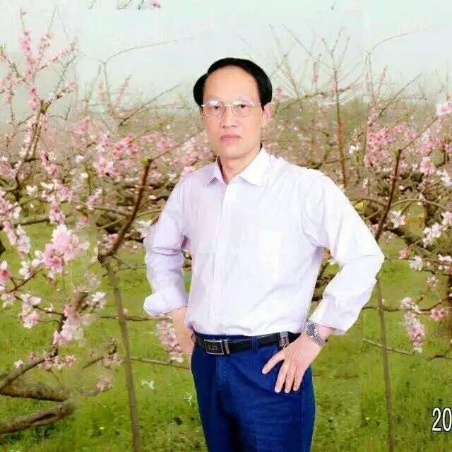 枫叶的第一张照片--宁德相亲服务中心